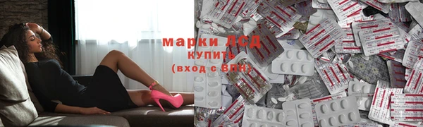 прущие грибы Алзамай