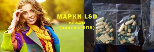 прущие грибы Алзамай