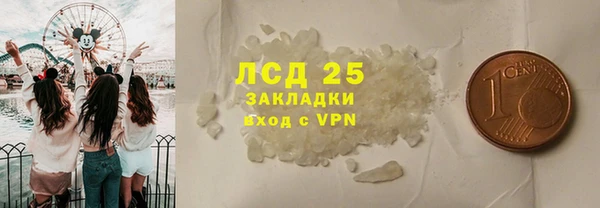 прущие грибы Алзамай