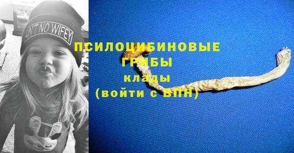 прущие грибы Алзамай