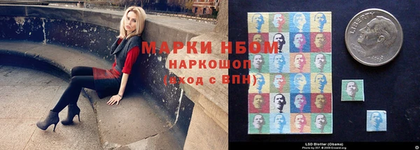 прущие грибы Алзамай